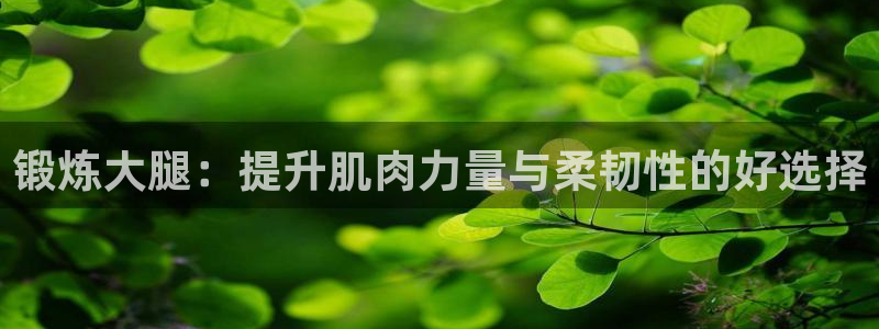 球速体育QsTY官方正版app新能源：锻炼大腿：提升肌肉力量