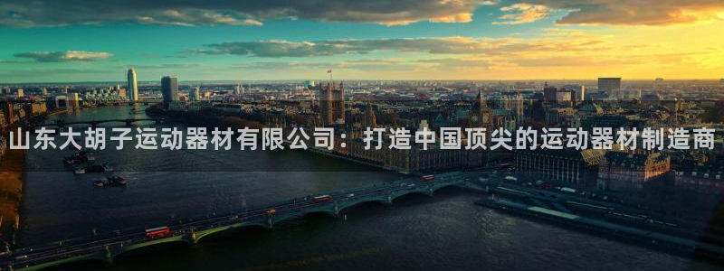 球速体育QsTY官方正版app集团简介：山东大胡子运