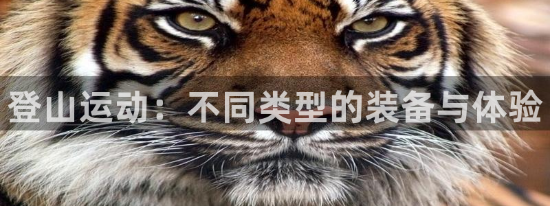 球速体育QsTY官网下载招商电话号码查询是多少